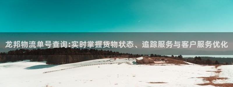 28圈注册教程：龙邦物流单号查询:实
