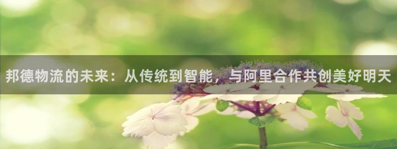 28圈加拿大技巧：邦德物流的未来：从