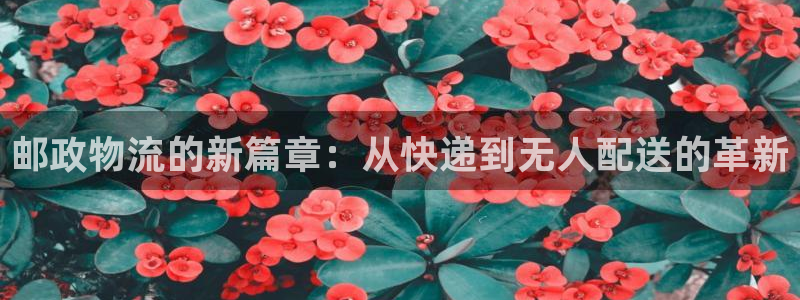 28圈是啥：邮政物流的新篇章：从快递
