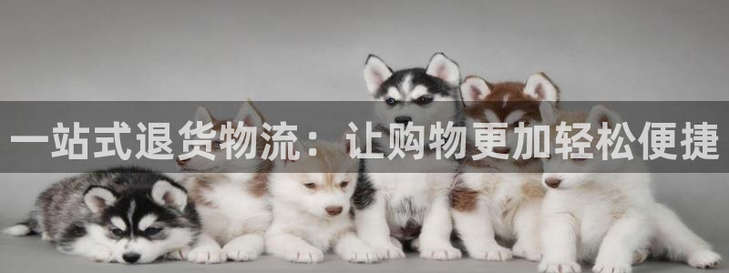 28圈退款