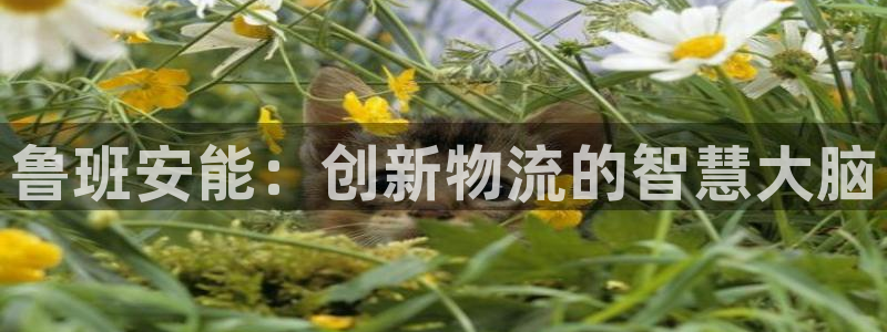 28圈连接