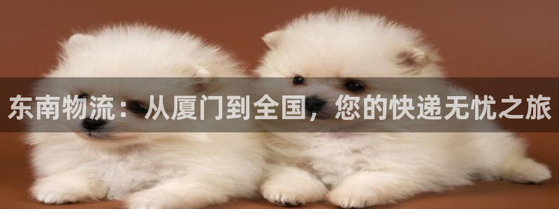 28圈充值金额随便
