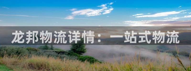 28圈pg麻将胡了