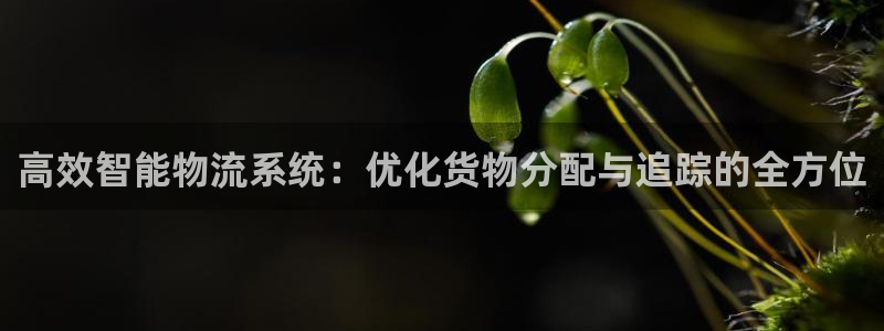 28圈赌博被抓