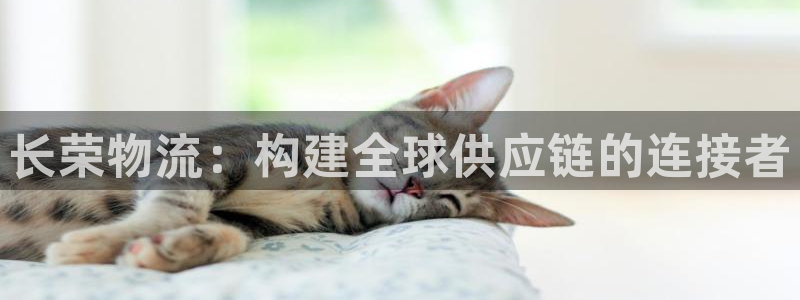 28圈防失联网址