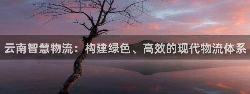 28圈软件堵什么反什么