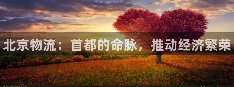 28圈龙虎：北京物流：首都的命脉，推