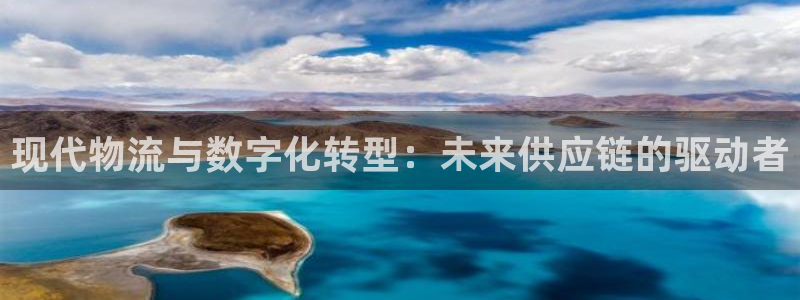 28圈模拟器：现代物流与数字化转型：