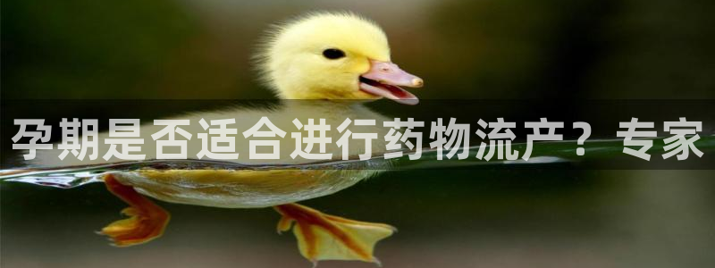 28圈APP是干什么的：孕期是否适合