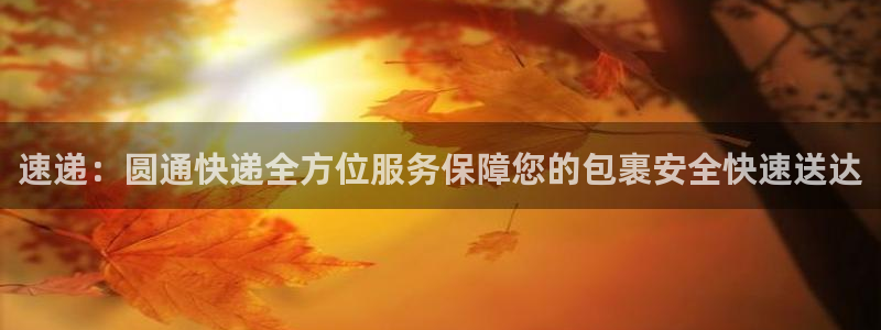 28圈注册二维码：速递：圆通快递全方