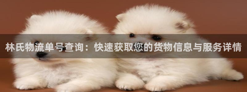 28圈分分压单双技巧：林氏物流单号查