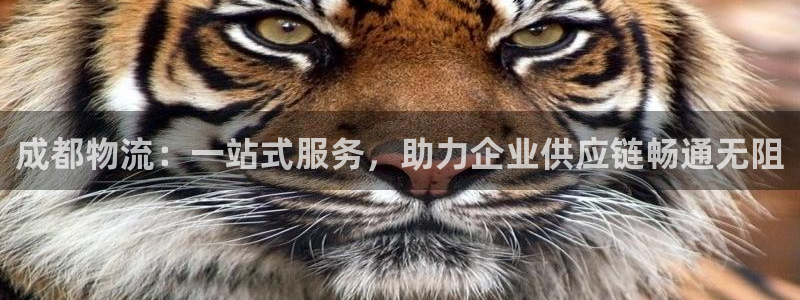 28圈.ccmpcios：成都物流：