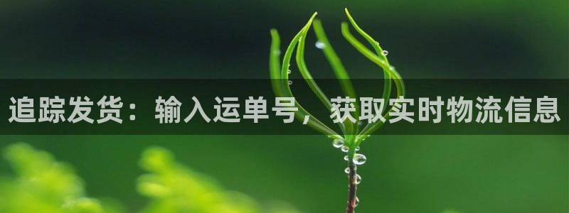 28圈加拿大技巧：追踪发货：输入运单