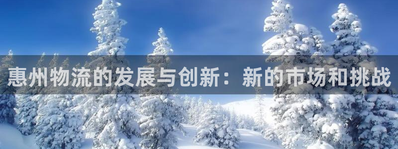 28圈加拿大走势