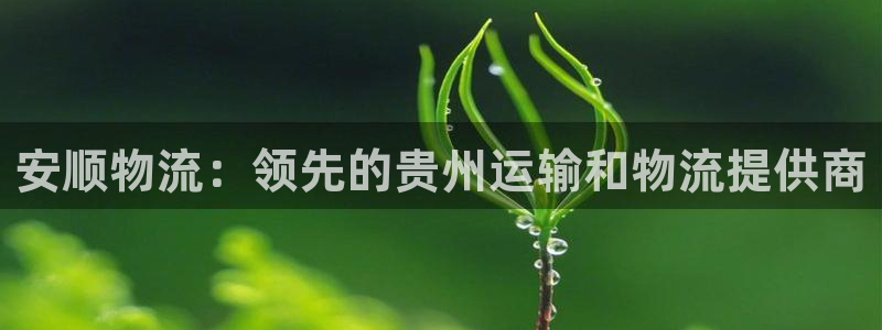 28圈充值方式：安顺物流：领先的贵州