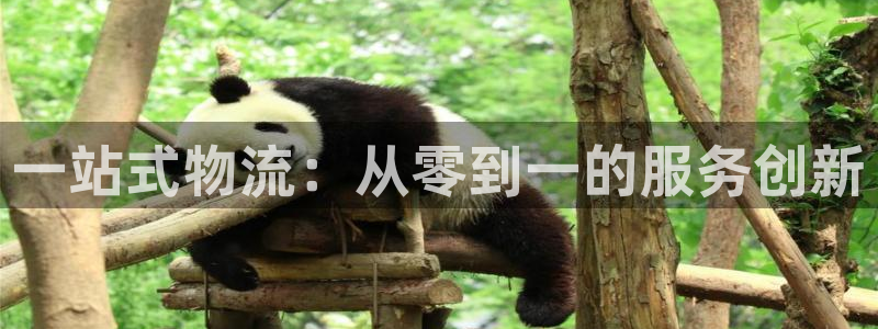 28圈登录流程：一站式物流：从零到一