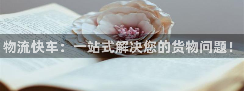 28圈链接：物流快车：一站式解决您的