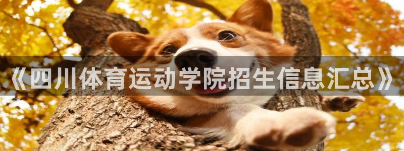菲律宾ug环球官网