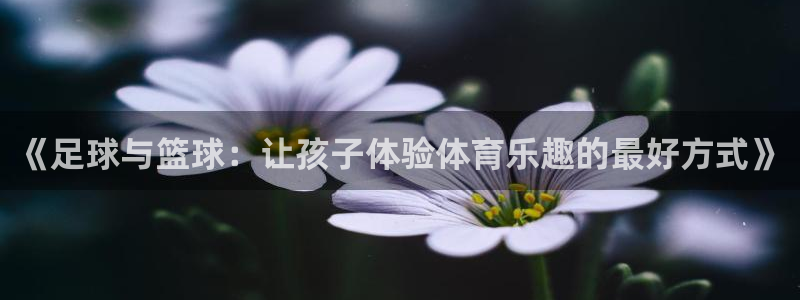 ug环球官网注册