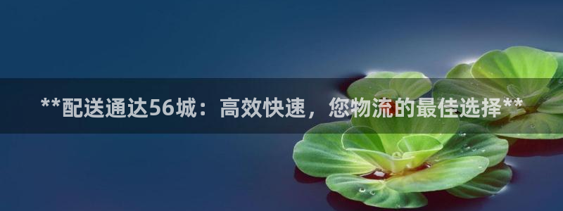 28圈里的财神