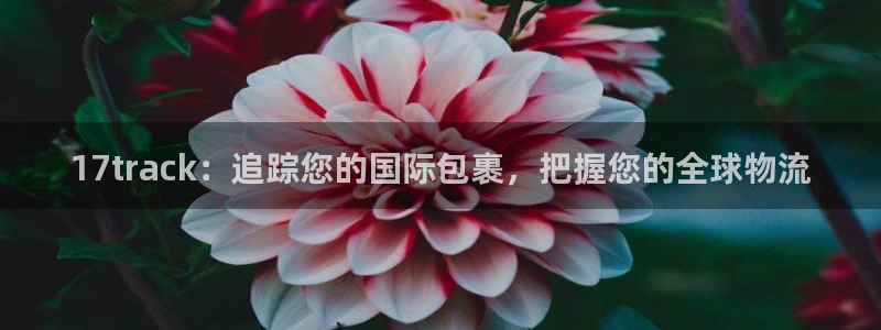 28圈软件总是闪退怎么回事