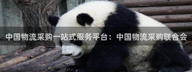 28圈入口问一问