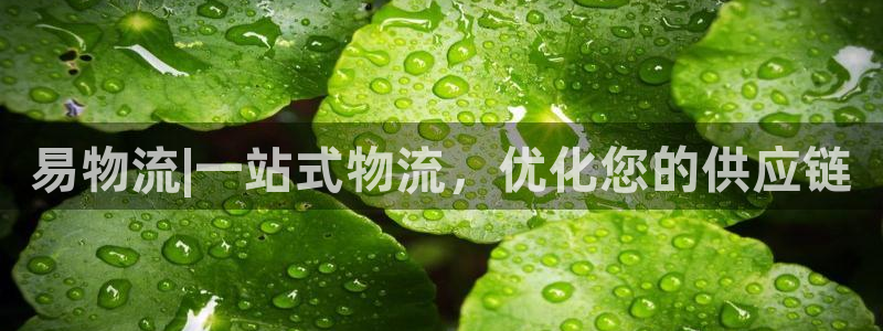 28圈充值金额随便