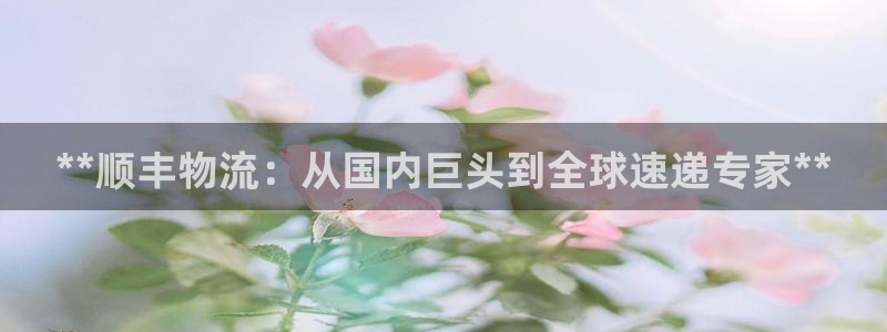 28圈官网开奖结果预测查询