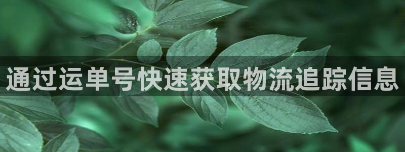 28圈正规吗