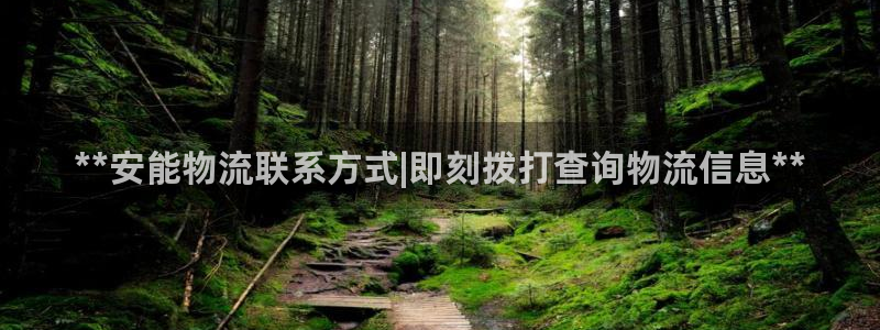 28圈下载体育