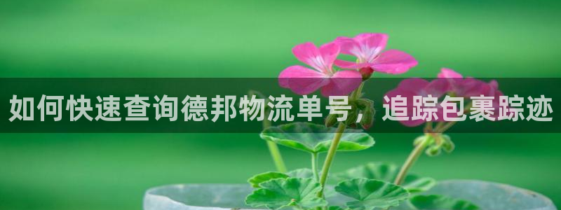 28圈黑不黑