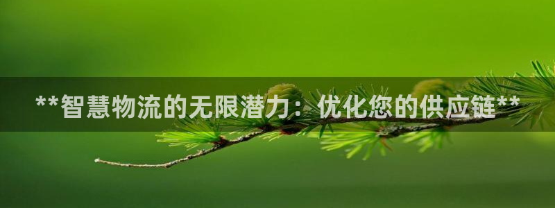 28圈加拿大最新版