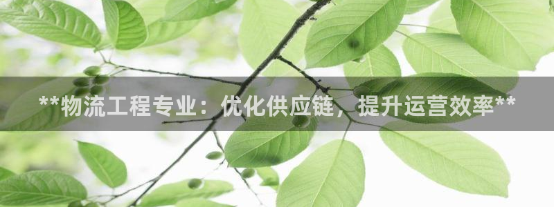 28圈.ccmpc预测