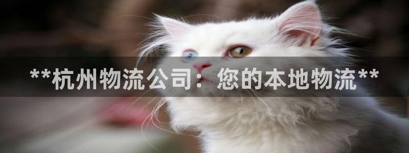 28圈v6能卖多少