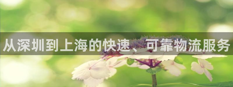 28圈游戏链接