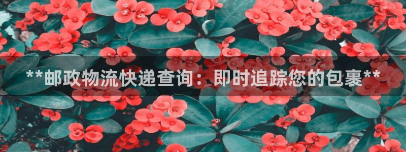 28圈反水什么时候到