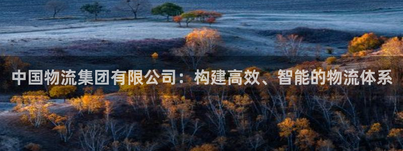 28圈链接