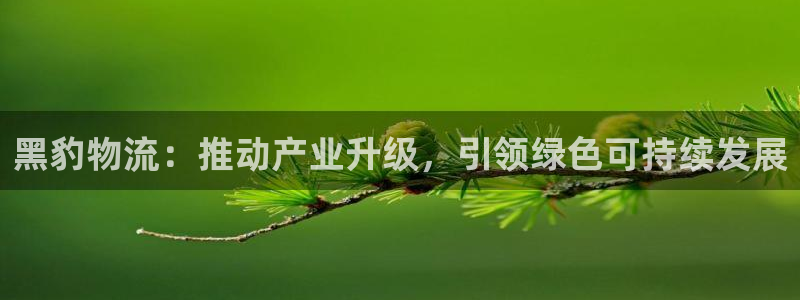 28圈.ccmpc是诈骗吗?